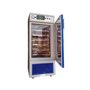 Seed Germinator
