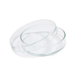 Petri Dish